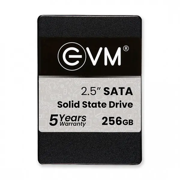 EVM SATA SSD 256 GB - LXINDIA.COM