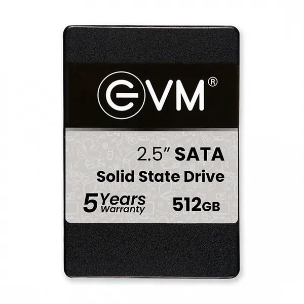 EVM SATA SSD 512 GB - LXINDIA.COM